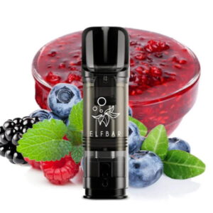 Elfbar Elfa - POD - Blueberry Snoow 2% Nikotin 600 Züge (2 Pods)