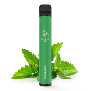 Elfbar 600 - Einweg E-Zigarette - Spearmint 2% Nikotin