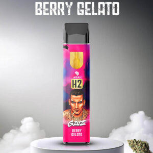 Gzuz H2 Superior Blend Vape - Beerengelato 1 ml