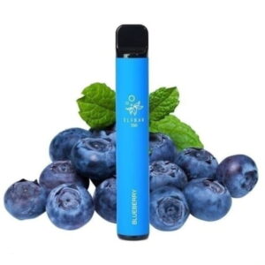 Elfbar 600 - Einweg E-Zigarette - Blueberry 2% Nikotin