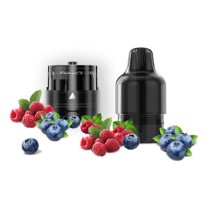 MegaBar - GT Max Pod - Blaubeere, saure Himbeere, 10 ml