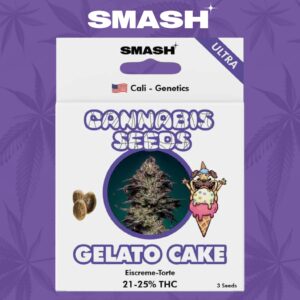 Smash Cannabissamen - Gelato Cake